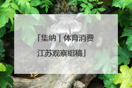 集纳｜体育消费江苏观察组稿